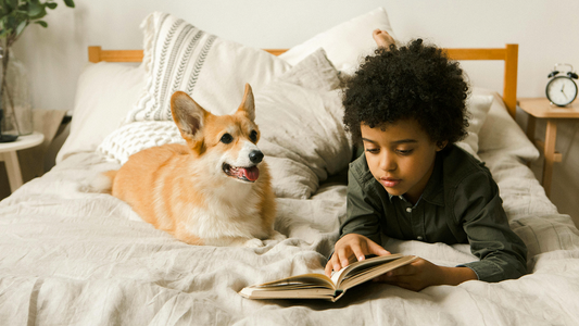 Creating a Pet-Friendly Home